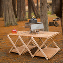 Mounthiker BBQ Grill Rack Holder Portable Folding Stove Rack for Picnic Fis