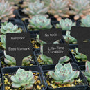 1 Pcs Plant Labels Thicken Black Garden stakes Markers Tags Nursery L7U0