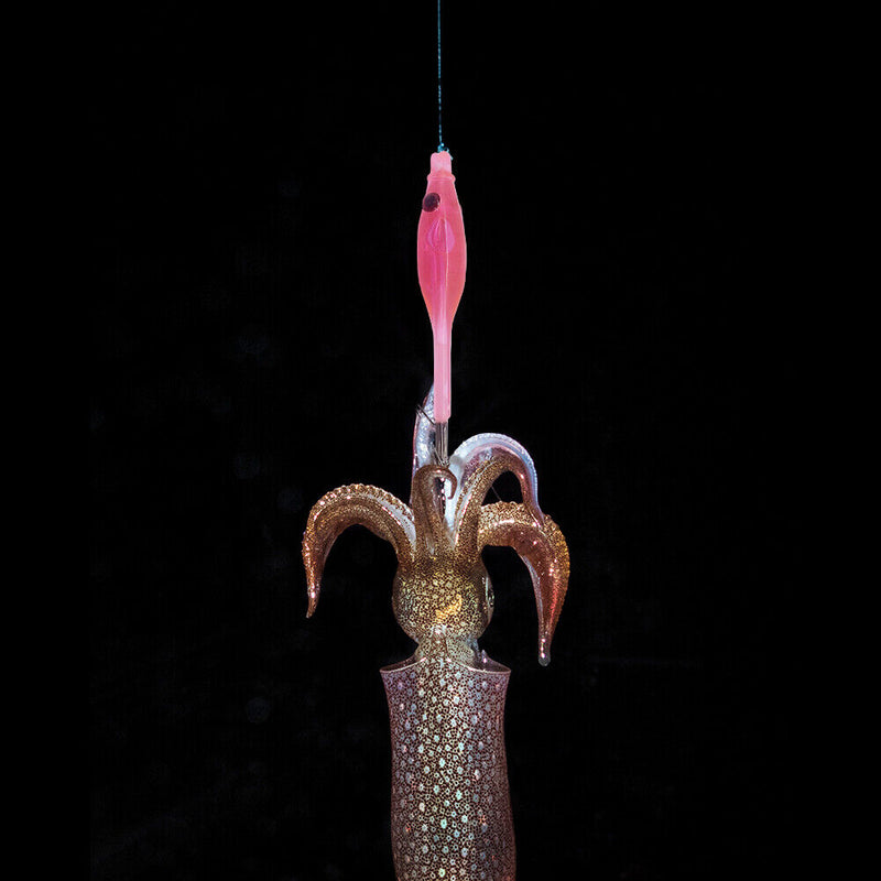 2x Wood Shrimp Fishing Squid Jigs Lure Cuttlefish Explosion Hook Fishing Tackle