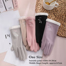 Skin-friendly Embroidered Touch Screen Plush Winter Warm Gloves For Women