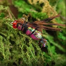 10x Sequins Fly Fishing Lures Artificial Bait Flies with Barbed Hook (14)