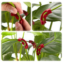 kit Twig Clamps Plant Trainer for Low Stress Training 90 Degree Plant Benders