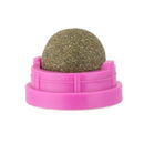 Rotatable Teeth Cleaning Cat Energy Ball Pet Food Catnip Sugar Kitten Snacks