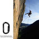25KN O Shape Safety Auto Master Lock Carabiner Rock Climbing Buckle (Black)