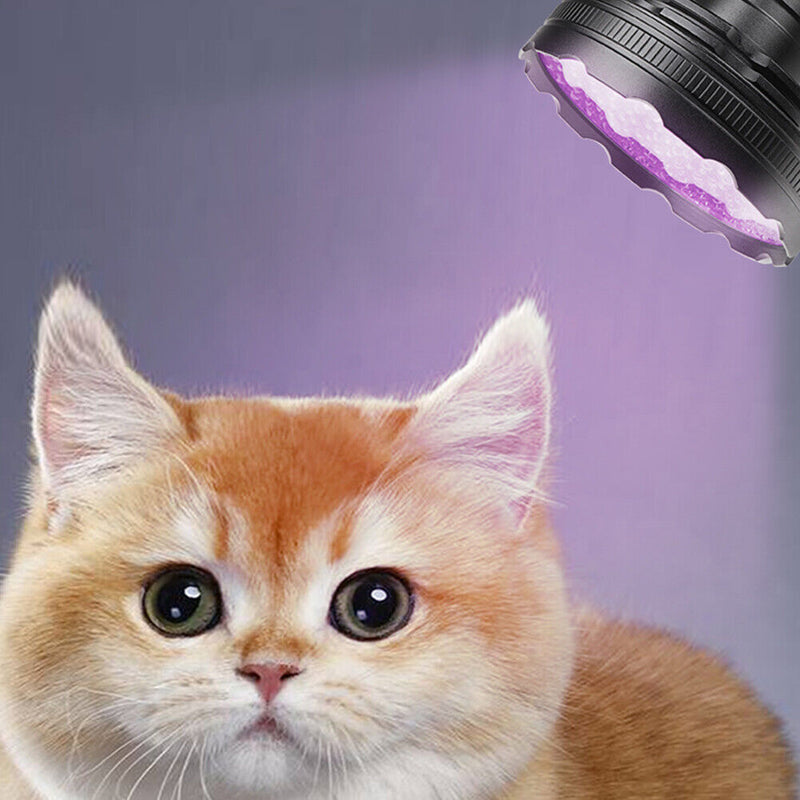 Waterproof Portable 128 LED UV Ultraviolet Inspection Torch 395nm Flashligh