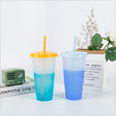 Reusable Color Changing Cups 7pcs Cold Drinks Travel Tumbler with Lids Straws