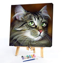 40x40cm Cat Dogs Canvas Painted Oil Paint By Numbers Wall Modern Bedroom Decor