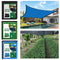 Sun Shade Sail - Canopy Awning Screen Plant Greenhouse Cover (Green 2x4m) Newly