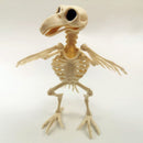 Horror Skeleton Raven Crow Skeleton Halloween Decoration Animal Skeleton Bones