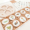 Wooden Life Cycle Board Puzzle Teaching Aids Material Biology Zoology