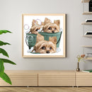 Diamond painting DIY round diamond three puppies B1673