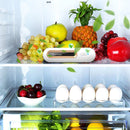 Refrigerator Air Purifier Ozone Deodorizer Fresh Food Preservation Deodorizer