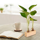 Glass Ornaments Hydroponic Plants Test Tube Vase Wooden Stand Test Tube Vase