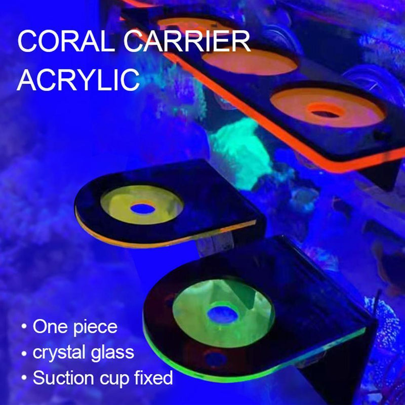 Fish Tank Coral Frag Rack Aquarium Reef with Plugs Suction Holder (Yellow)