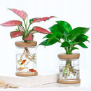 Transparent Flower Arrangement Hydroponic Vase Plant Flower Pot Plastic Vase