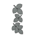 1x Metal Cutting Dies Rose Leaves Cutting Dies Stencil Cards Album X9I7