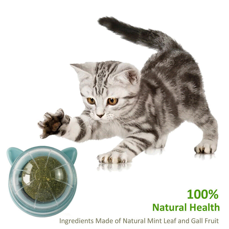 Catnip Ball Cat Toys Licking Teeth Chewing Pet Training Bite Balls (Grey)