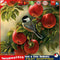 5D Square Diamond DIY Diamond Painting Fruit Bird Embroidery Cross Stitch Newly
