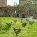 Acrylic Hollow Chicken Ornaments Backyard Lawn Stakes Yard Art Decor (D) Newly