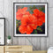 DIY Embroidery Red Flowers Diamond Painting Cross Stitch Home Decoration Gift