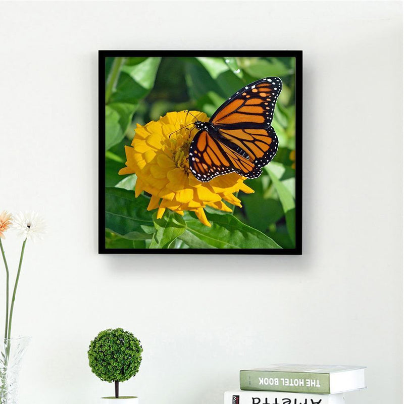 5D DIY Full Drill Diamond Painting Butterfly Embroidery Mosaic Craft Kit