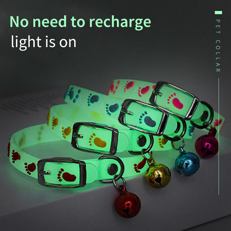Glowing Pet Anti Lost Collar Luminous Neck Ring Cute Cat Dog Necklace Jewelry