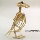 Plastic Skeleton Raven Crow Skeleton Animal Skeleton Bones Halloween Decoration