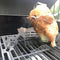 Motorcycle Chicken Grill Stainless Steel BBQ Stand Chicken Turkey Roasting Rack
