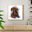 #A Waterside Cat Oil Paint By Numbers DIY Handpainted on Canvas Picture Unfram
