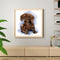 #A Waterside Cat Oil Paint By Numbers DIY Handpainted on Canvas Picture Unfram