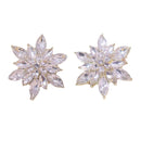 Gorgeous Christmas Crystal Snowflake Earrings Stud Drop Dangle Women Jewelry~