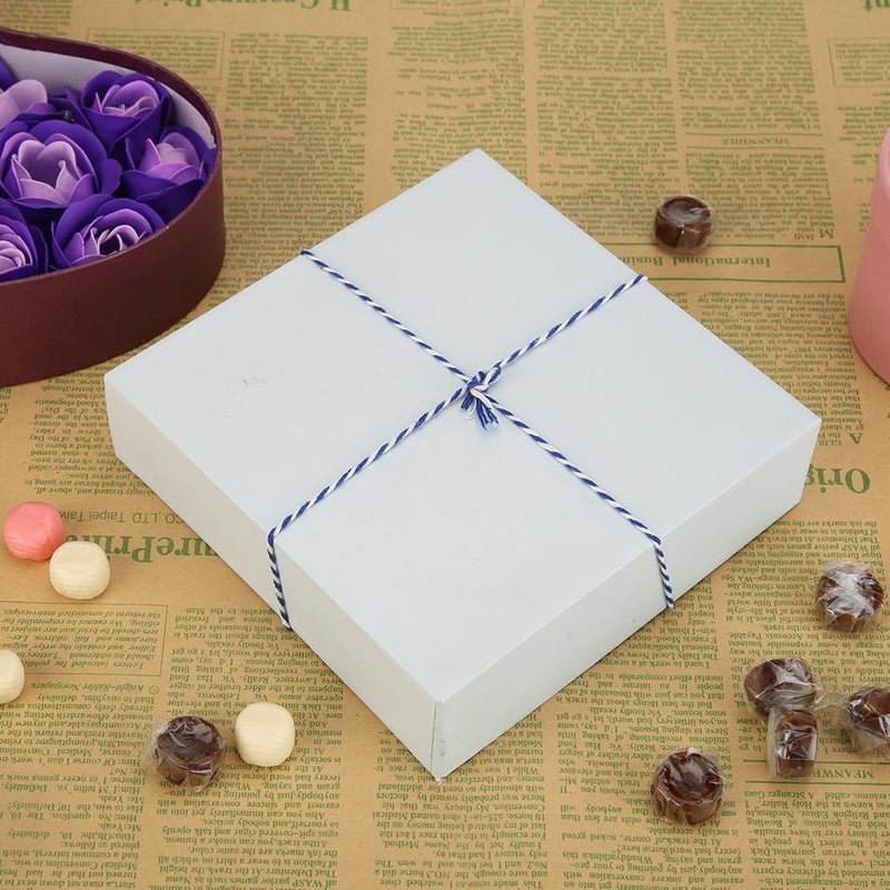 1 Roll 100 Meters 2Ply Cotton Twine DIY Weaving Handmade Craft Rope (Blue) Newly