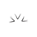 Volume Segment Eyelashes V-shape Cluster Lashes Individual False Eyelashes Blue