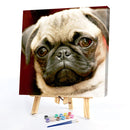 Canvas Painted Oil Paint By Numbers Dog Animal DIY Wall Art Modern Bedroom Decor