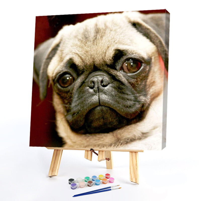 Canvas Painted Oil Paint By Numbers Dog Animal DIY Wall Art Modern Bedroom Decor