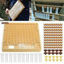 120pcs Bee Cell Cups Queen Rearing System Beekeeping Tool Cultivating Box Newly