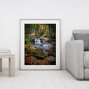 Handpainted DIY Forest Scenery Oil Paint by Numbers Kit Pictures Draw Craft G