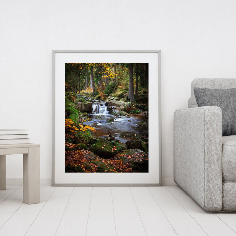 Handpainted DIY Forest Scenery Oil Paint by Numbers Kit Pictures Draw Craft G