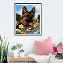 5D DIY Full Drill Diamond Painting Dog Garden Cross Stitch Embroidery Kits