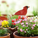 Soil Water Tester Bird Shape Flower Pot Moisture Sensor Farm Meter (Red)