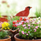 Soil Water Tester Bird Shape Flower Pot Moisture Sensor Farm Meter (Red)