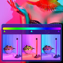 Portable LED Fill Light RGB Atmosphere Photo Selfie Lighting Stick (20cm)