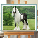 5D DIY Diamond Painting Kits Full Square Drill Gypsy Horse Mosaic Picture Decor