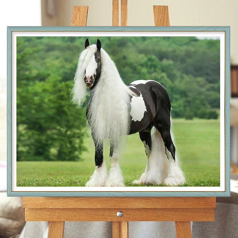 5D DIY Diamond Painting Kits Full Square Drill Gypsy Horse Mosaic Picture Decor
