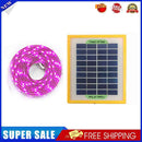 #A Solar LED Plant Grow Light Strip Greenhouse Hydroponic Phytolamp Equipment
