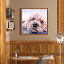 Diamond painting square diamond DIY animal puppy picture ZQF2505