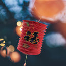 DIY Chinese Paper Lantern Festival Party Blessing Good Fortune Art Crafts Gif