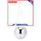 Decorative Plant Pots/Garden Plants with Hooks Chain for Gardening Enthusiast