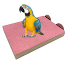5pcs Wooden Pet Parrot Chew Perche Board Grinding Paw Platform Bird Bite Bar Set