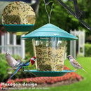 Plastic Gazebo Shape Bird Feeder Outdoor Hanging Clear Food Holder Container Box